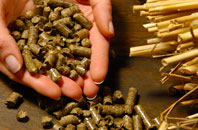 free Astbury biomass boiler quotes